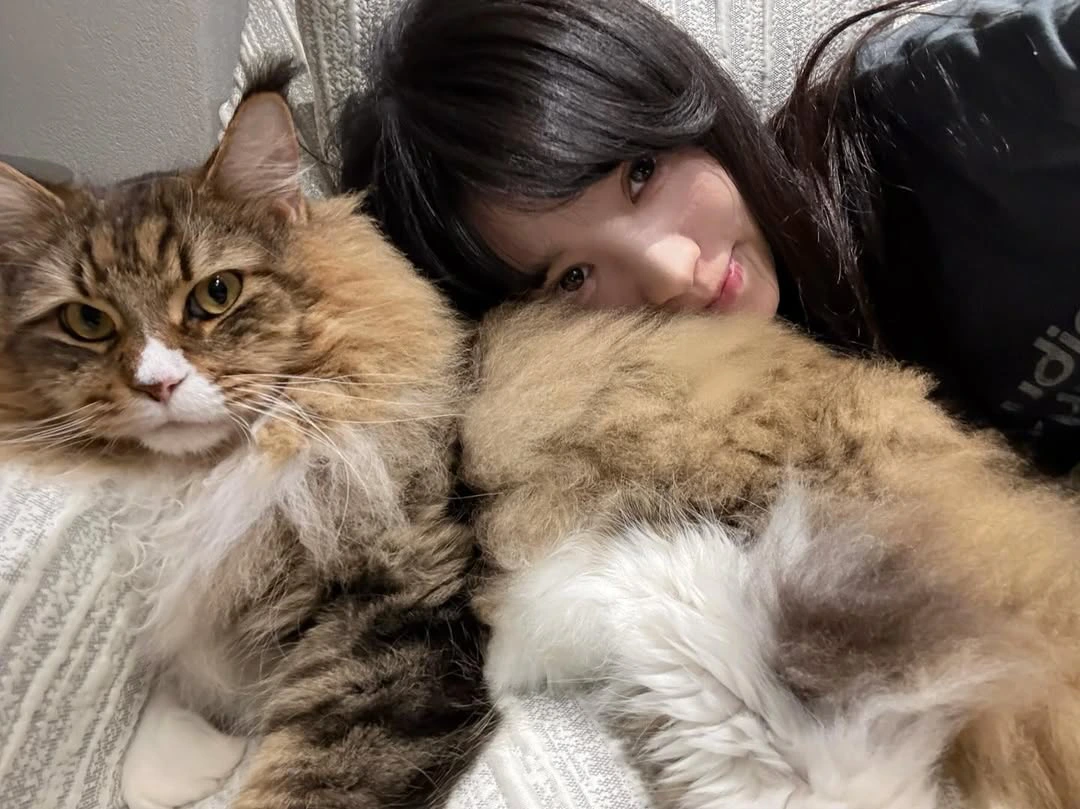 田曦薇私下是專業貓奴，靈動氣質神似「貓系妖精」