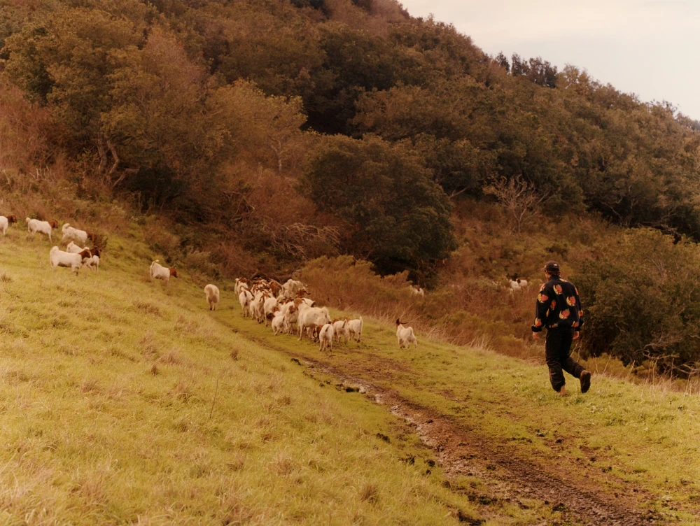 THE NORTH FACE x Sky High Farm Goods 聯名系列登場