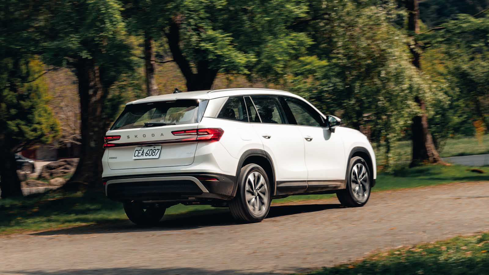 Skoda-2