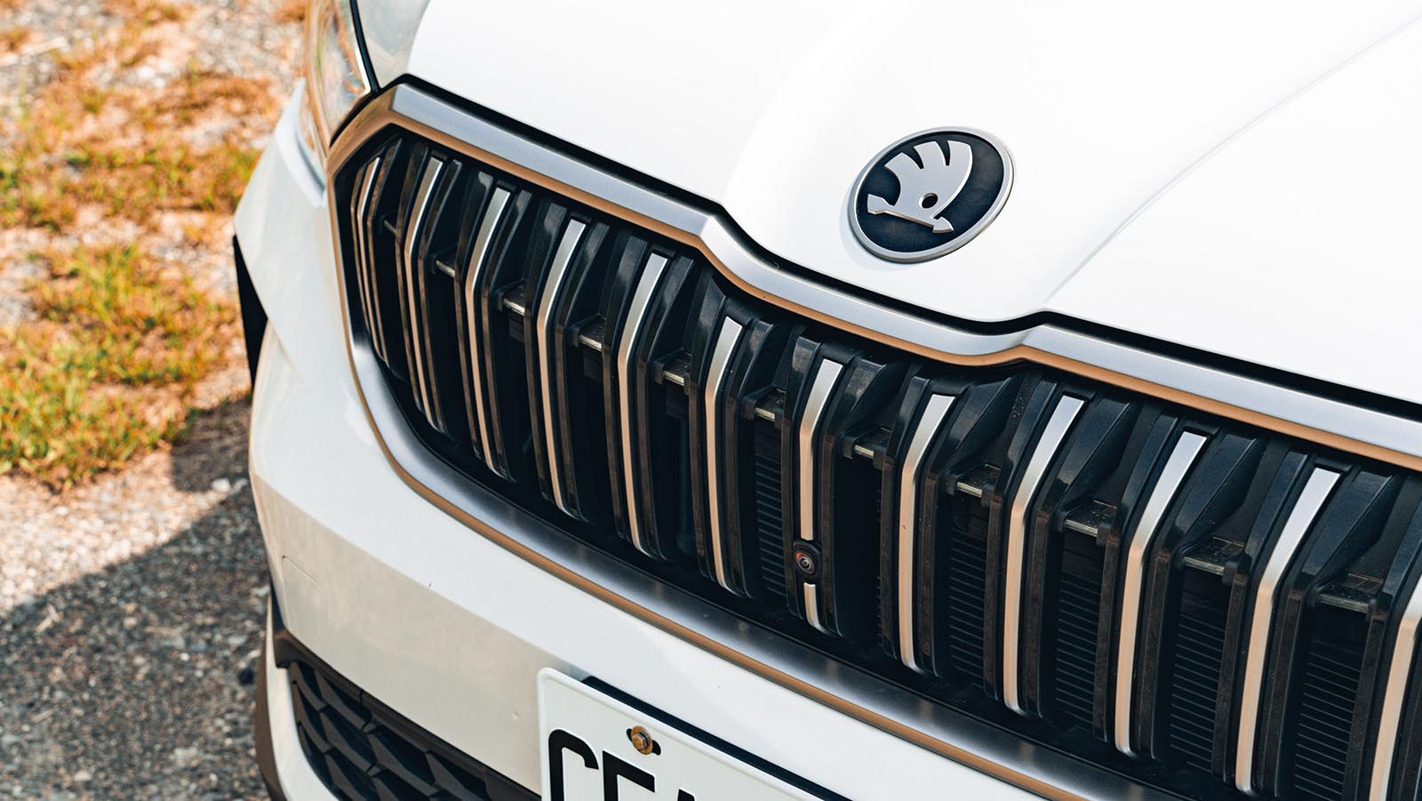 Skoda-3