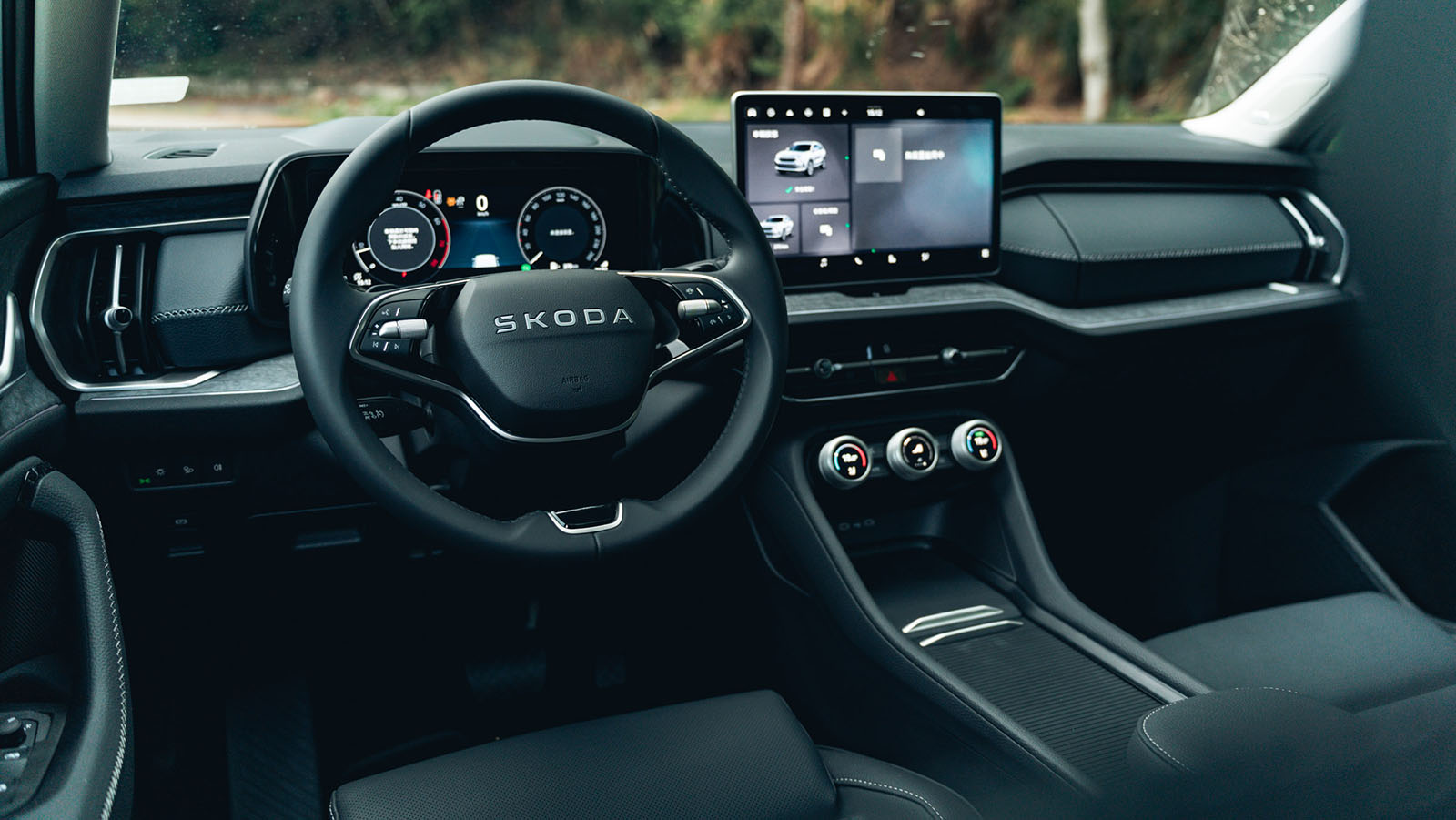 Skoda-4