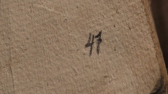 第 47 頁